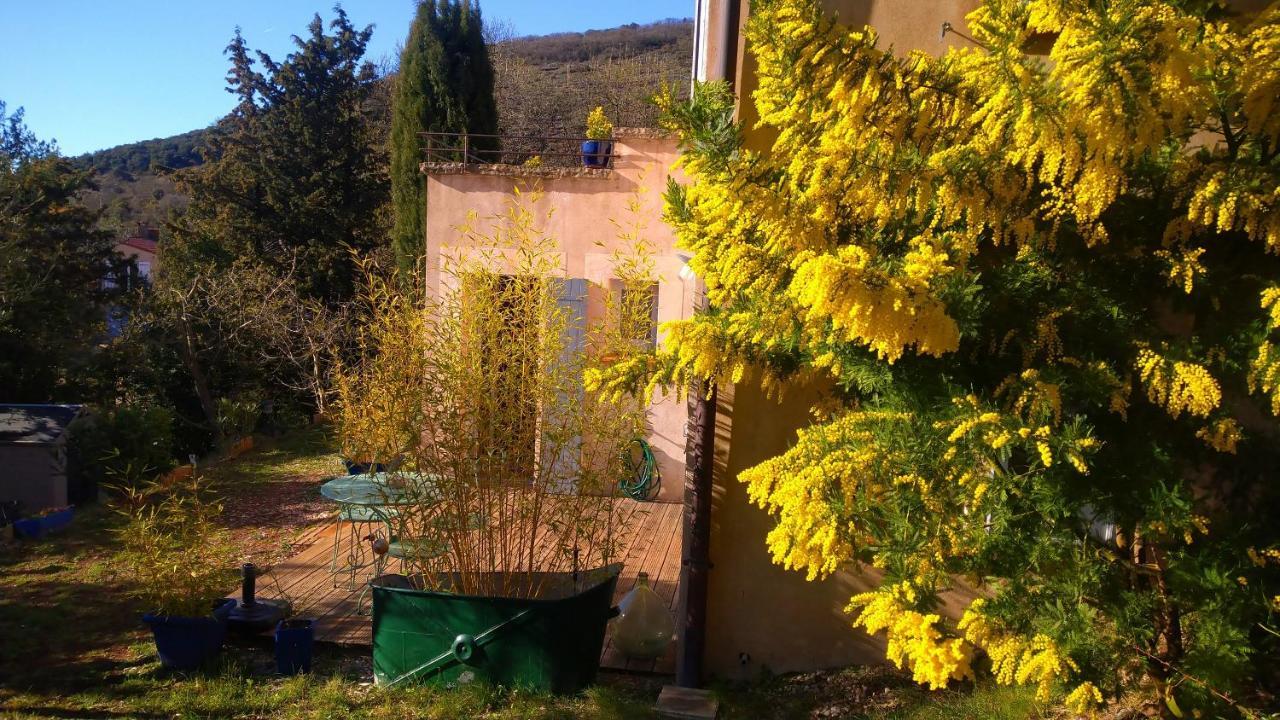 Hotel Le Chemin De Lauzieres Octon Zewnętrze zdjęcie